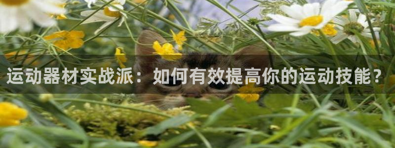 678体育官网下载招商:运动器材实战派:如何有效提高你的运动