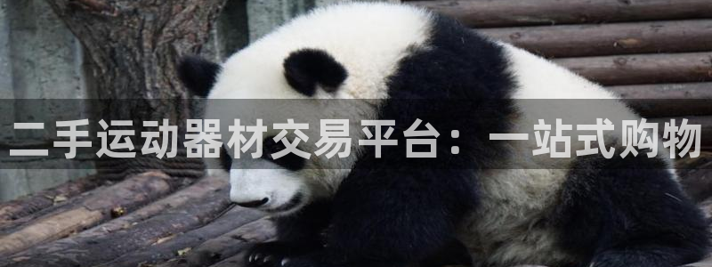 678体育官网下载平台注册流程视频:二手运动器材交易平台:一