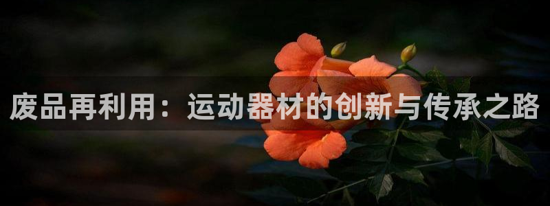 678体育官网下载平台APP:废品再利用:运动器材的创新与传